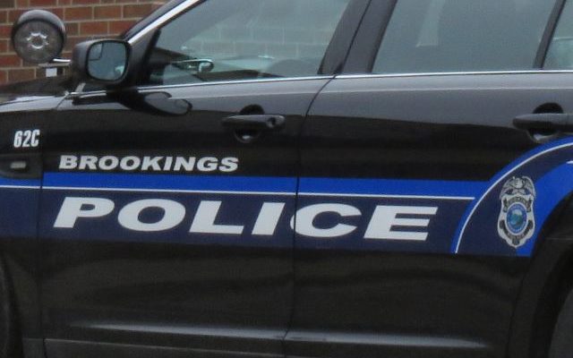 Brookings police looking for man who tried to lure two boys into vehicle