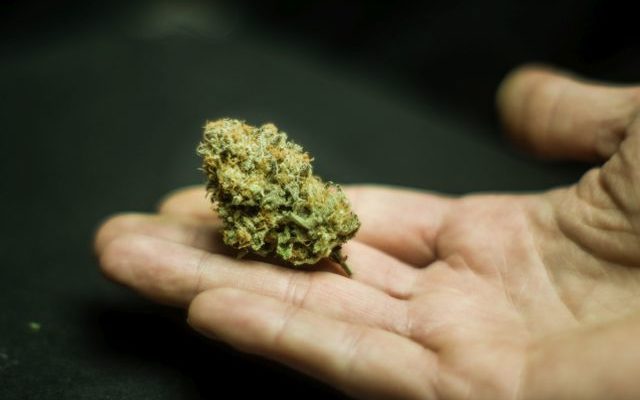 Flandreau Santee Sioux to open medical cannabis dispensary