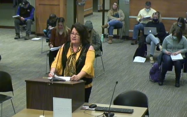Brookings City Council passes 60-day extension of pandemic restrictions